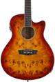 Click to learn more about the Washburn Deep Forest Burl ACE Acoustic Guitar - Amber Fade