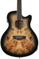 Click to learn more about the Washburn Deep Forest Burl ACE Acoustic Guitar - Black Fade
