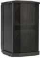 Click to learn more about the Bose F1 Powered Subwoofer