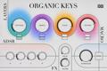 Click to learn more about the UVI Falcon Expansion - Organic Keys