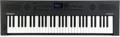 Click to learn more about the Roland GO:KEYS 5 Keyboard - Graphite