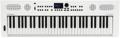 Click to learn more about the Roland GO:KEYS 5 Keyboard - White