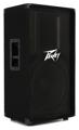 Click to learn more about the Peavey PV 115 800W 15 inch Passive Speaker