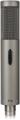 Click to learn more about the Royer R-12 Active Ribbon Microphone