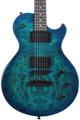 Click to learn more about the Schecter Solo-II Standard Electric Guitar - Ocean Blue Burst Burl