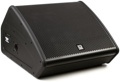 Click to learn more about the Turbosound TFX152M-AN 1100W 15 inch 2-way Flashline Series Stage Monitor