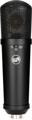 Click to learn more about the Warm Audio WA-87jr Studio Vocal Microphone - Black