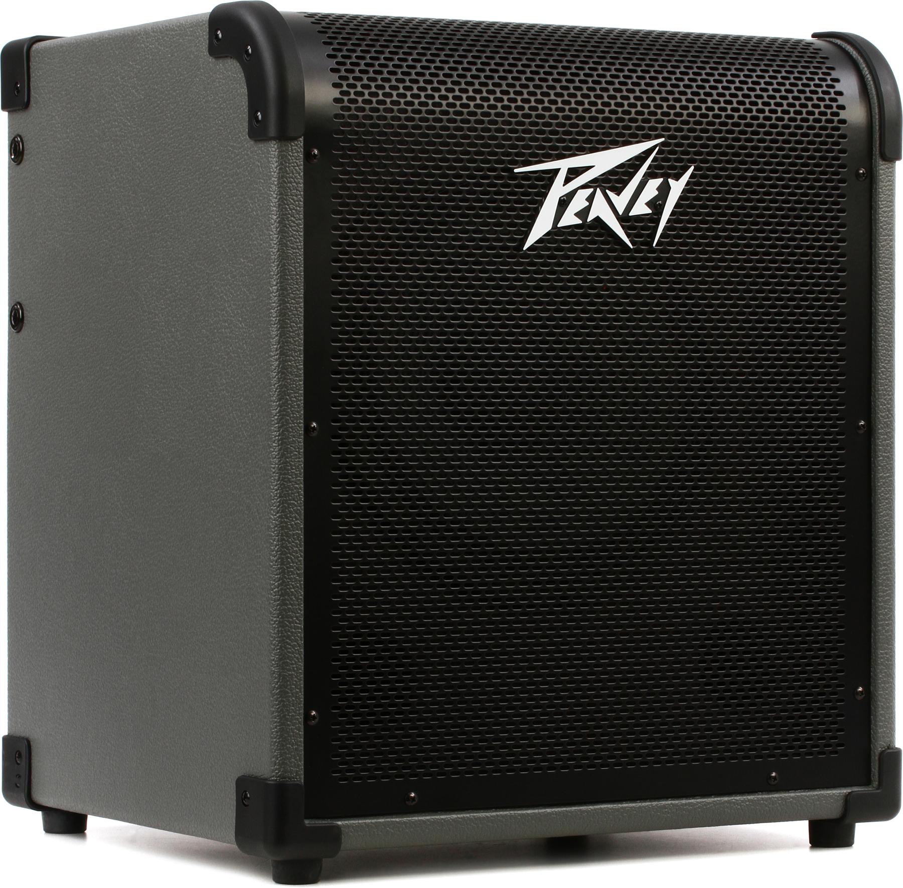 6. Peavey Max 100
