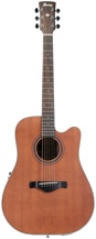 Ibanez AW250ECERTB