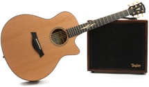 Taylor Builder's Reserve VIII Guitar and Amplifier Set - Grand Symphony, ES Amplifier