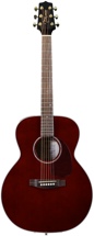 Takamine EG430SWR