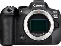 Image of Mirrorless Cameras