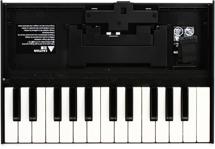 Click to learn more about the Roland K-25m Boutique Series Keyboard Unit