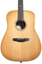 Image of Acoustic / Electric Guitars