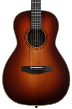 Image of Acoustic / Electric Guitars