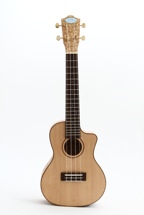 Lanikai LQA-CCA