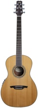 Wechter Guitars Nashville Special Elite - Cedar w/Fishman PreSys 501
