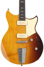 Image of Solidbody Guitars