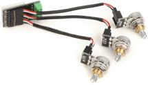 Image of Bass Guitar Accessories