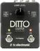 DittoX2 - Gallery Photo 1