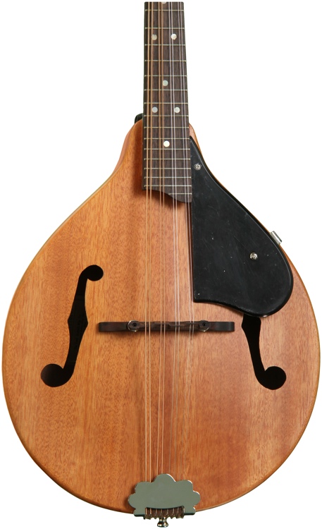 gretsch new yorker mandolin used