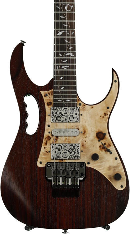 ibanez jem woody