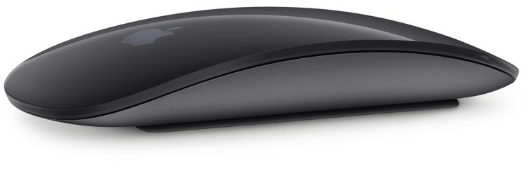 Apple Magic Mouse 2 - Space Gray | Sweetwater