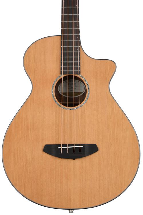 breedlove jumbo acoustic