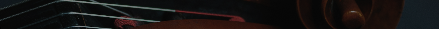 Strings Gallery Header