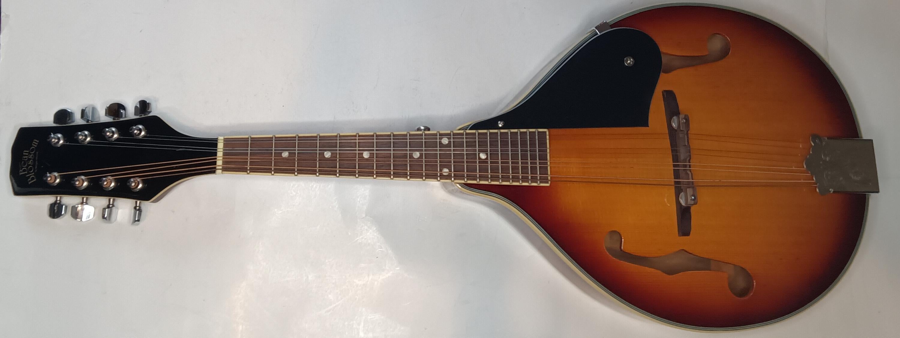Used Morgan Monroe Bean Blossom - Sweetwater's Gear Exchange
