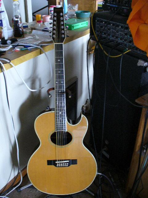 Used Washburn 12 string washburn - Sweetwater's Gear Exchange