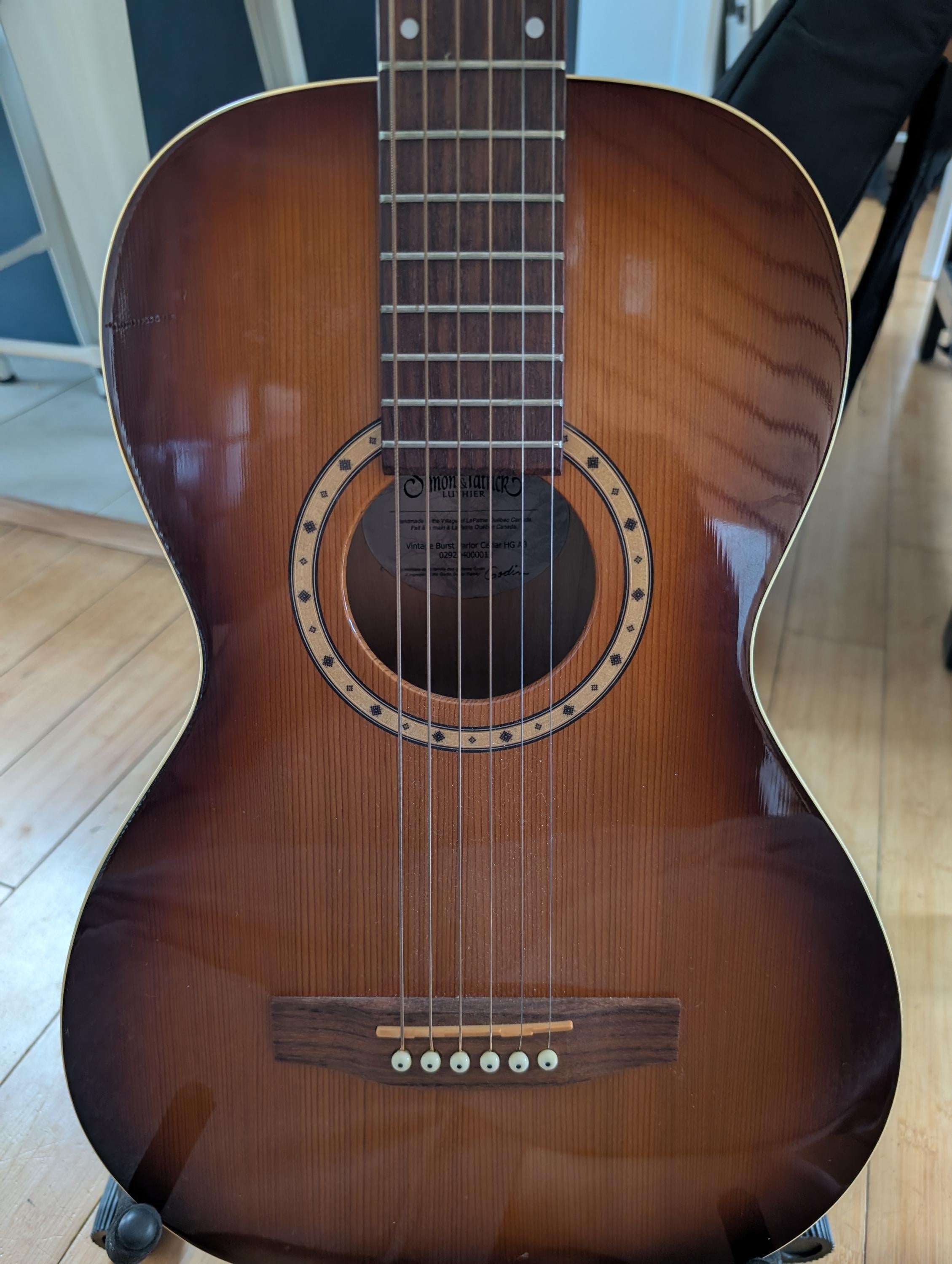 Used Simon & Patrick Luther (Godin) - Sweetwater's Gear Exchange