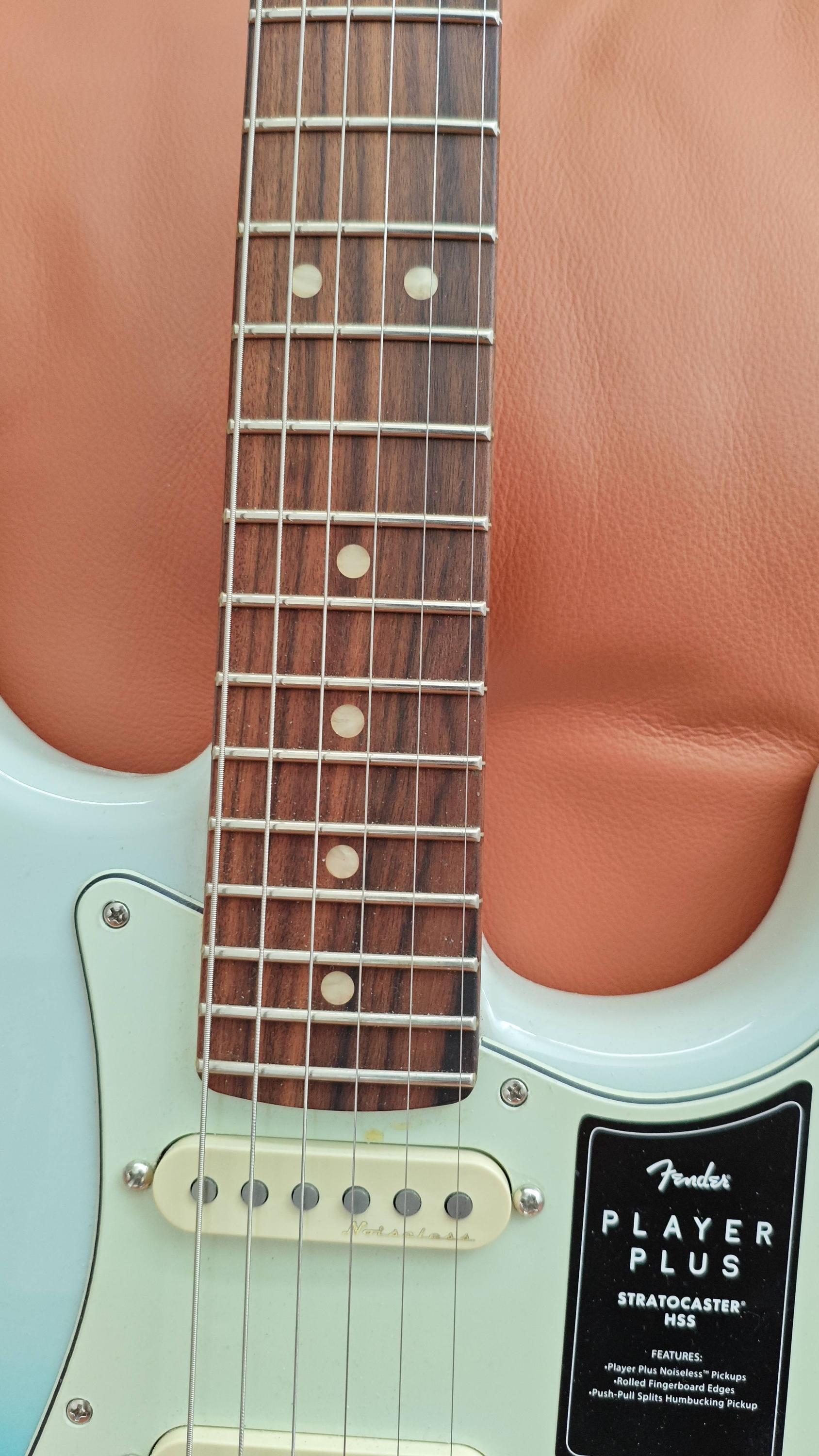 Fender Player Stratocaster HSS PT MN ケース Fender Player Stratocaster HSS PT MN ケース Fender Player