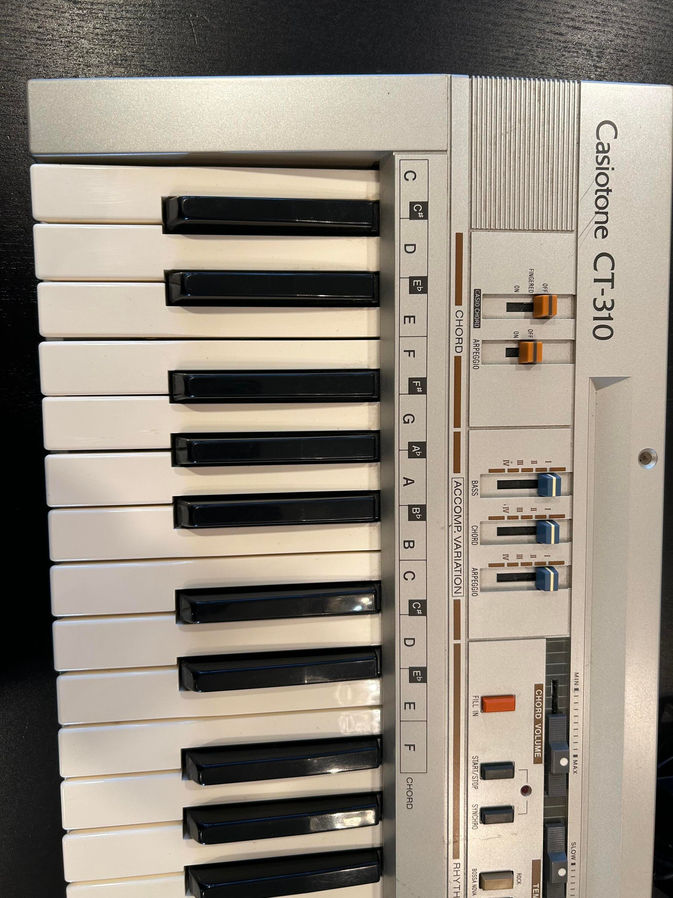 Casiotone 310 2024