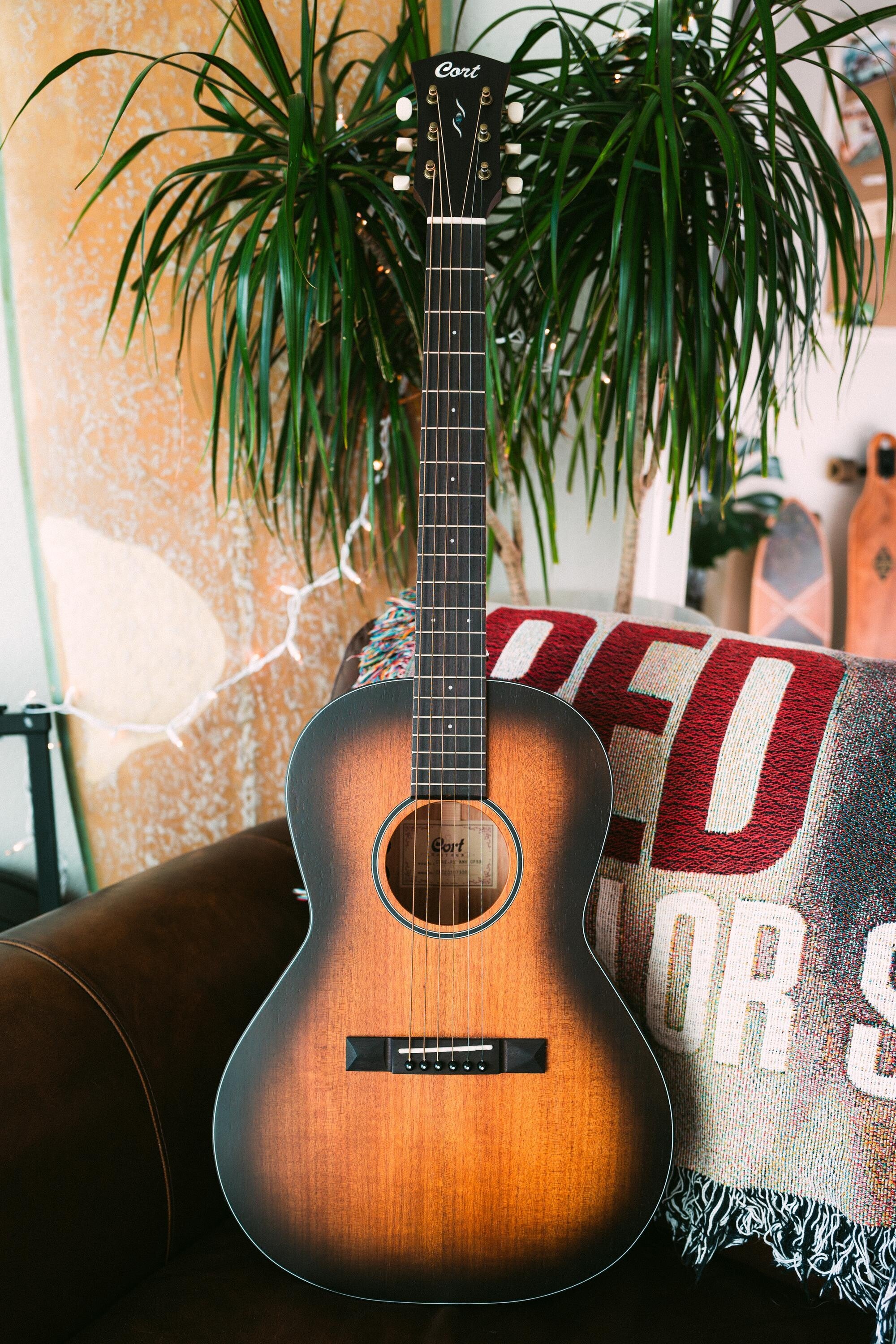 cort parlour guitar
