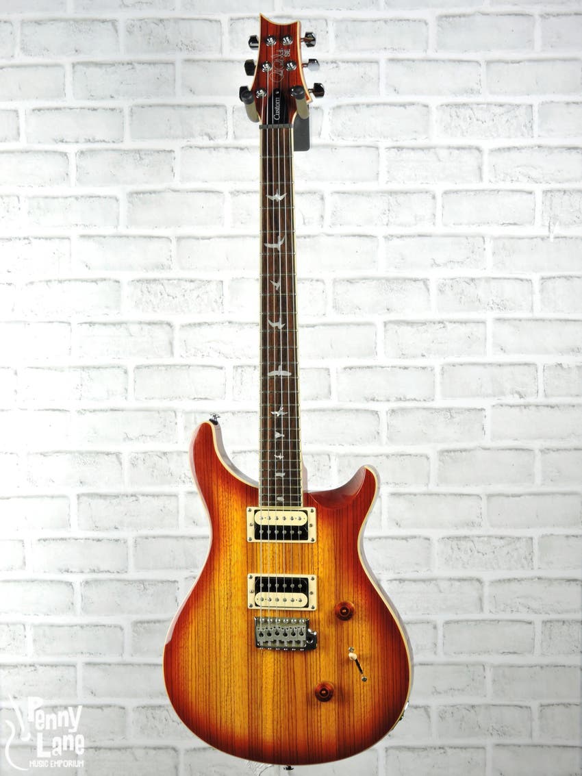 Custom 24 SE Electric Guitar with Gig Bag