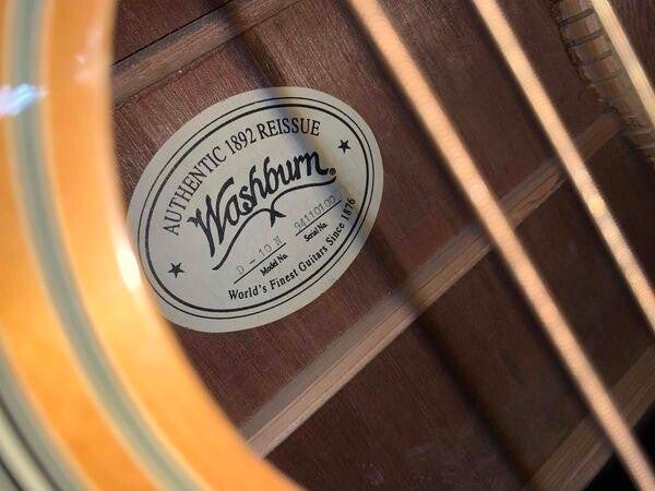 washburn model d10n