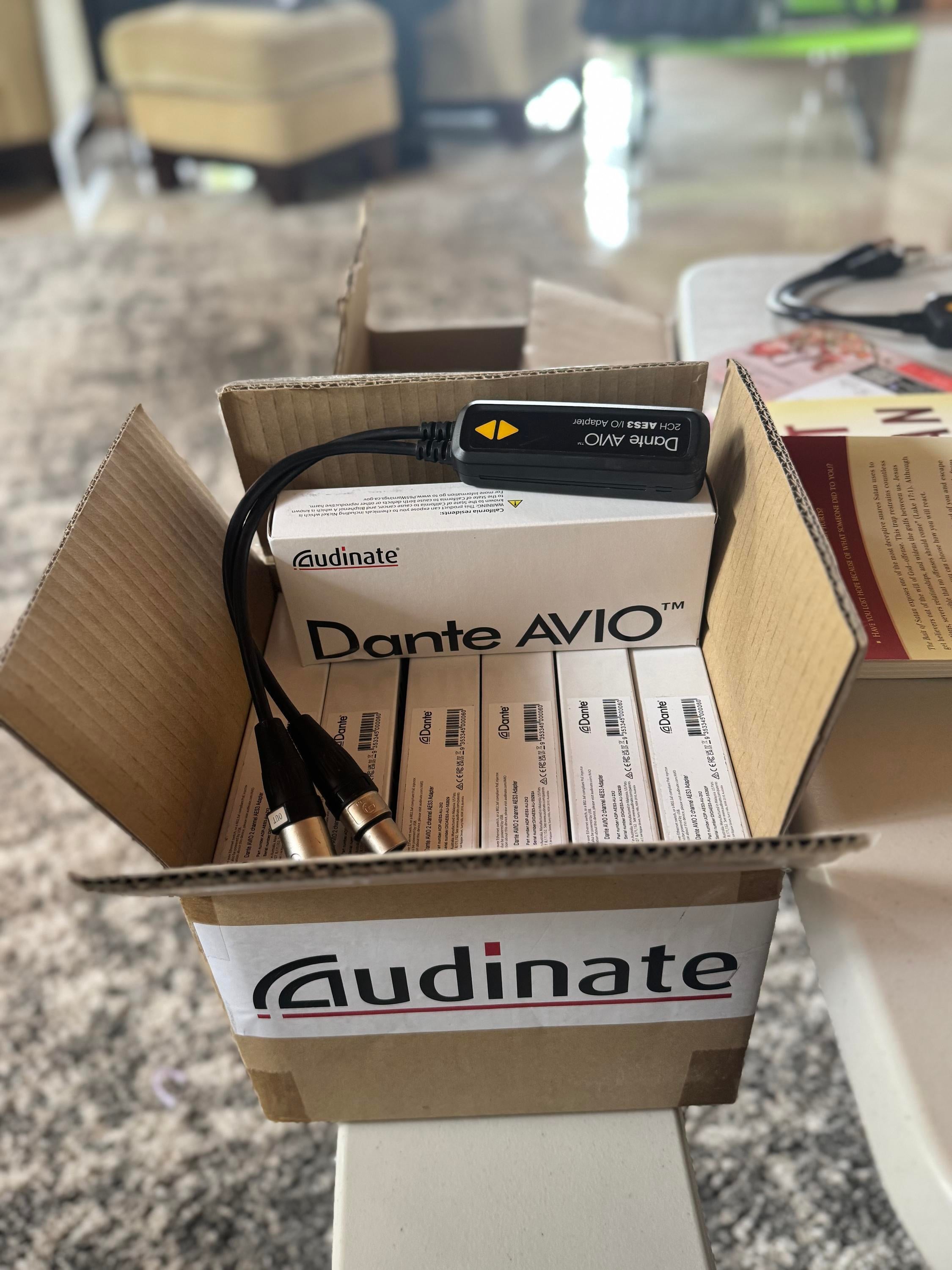 Apple Thunderbolt to FireWire Adapter