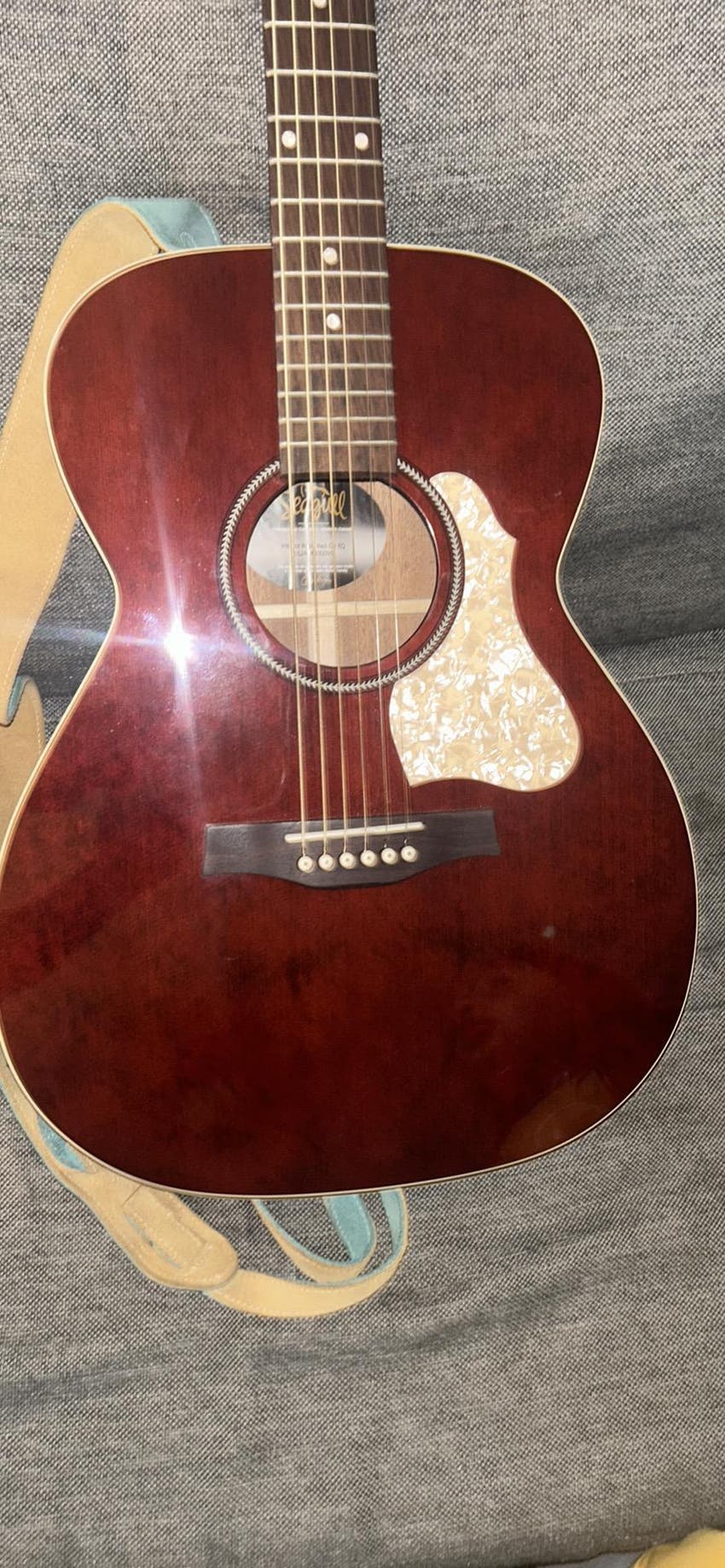 Used Seagull Guitars M6 LTD Sweetwater's Gear Exchange
