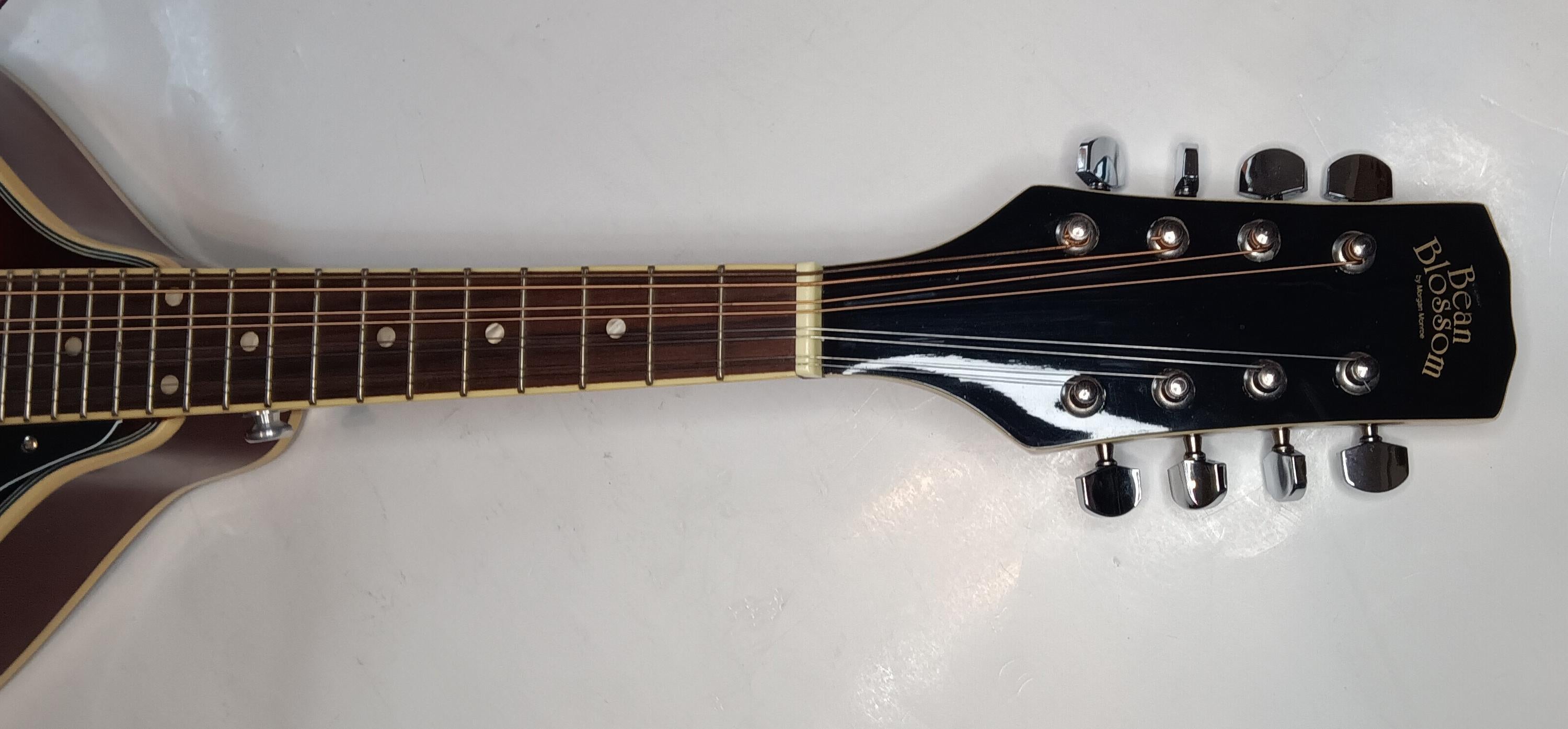 Used Morgan Monroe Bean Blossom - Sweetwater's Gear Exchange