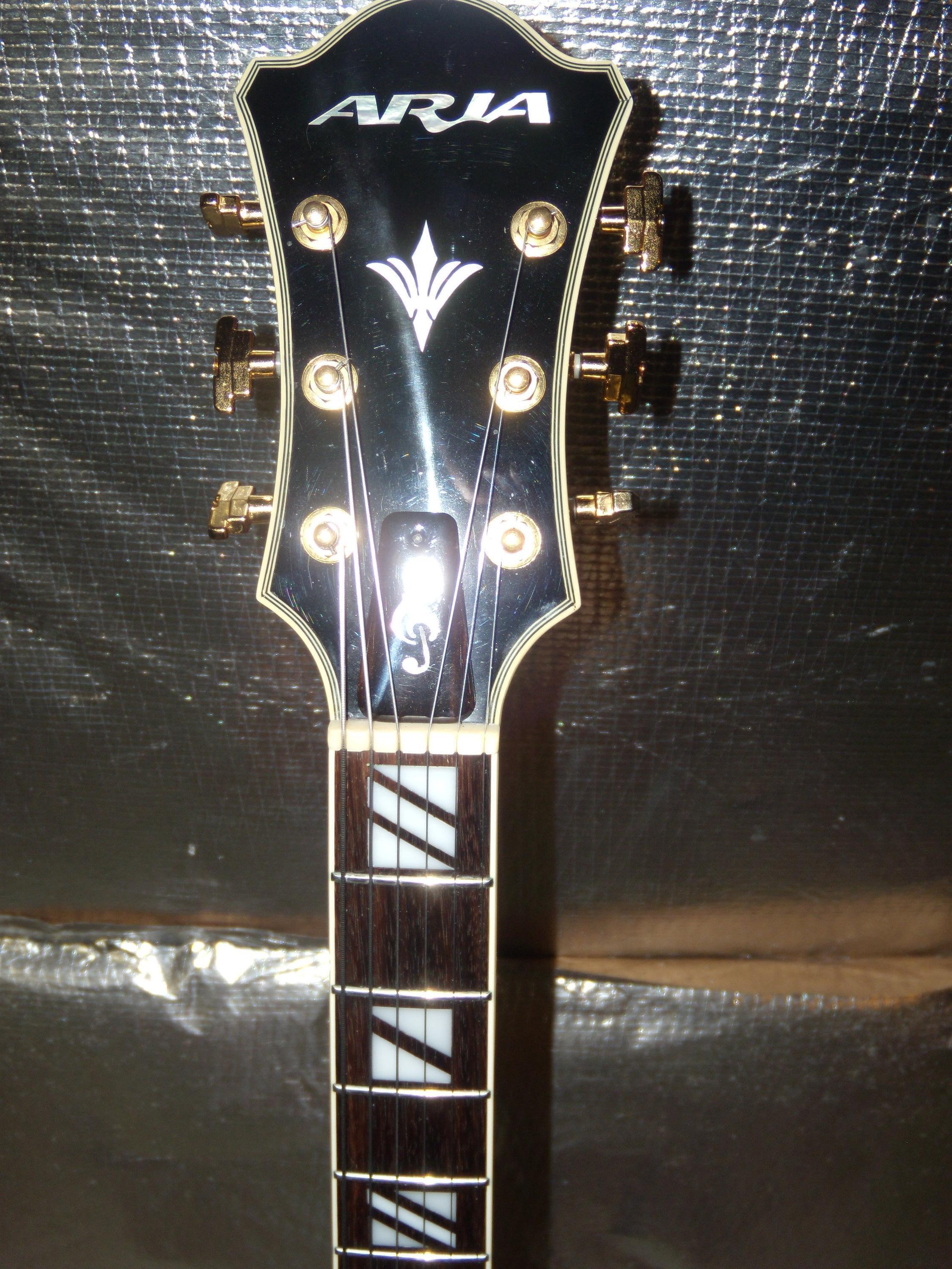 Aria ProⅡ MOD 1984 Aria Pro II ZZ Custom w/ Gold Hardware & Floyd, Japan