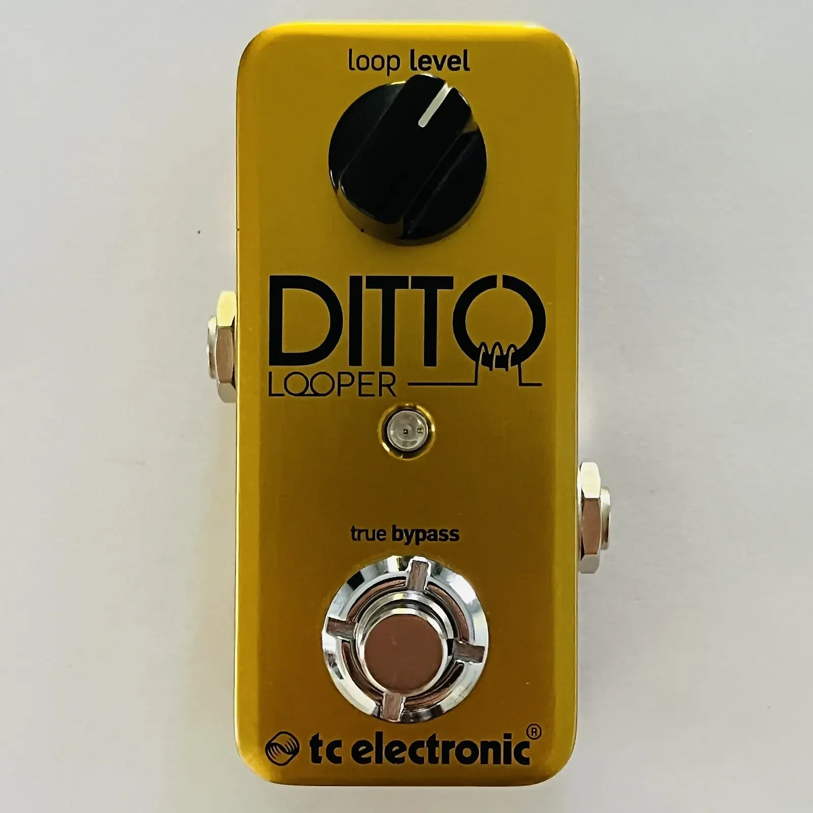 Used TC Electronic Ditto Looper Gold Pedal - Sweetwater's Gear