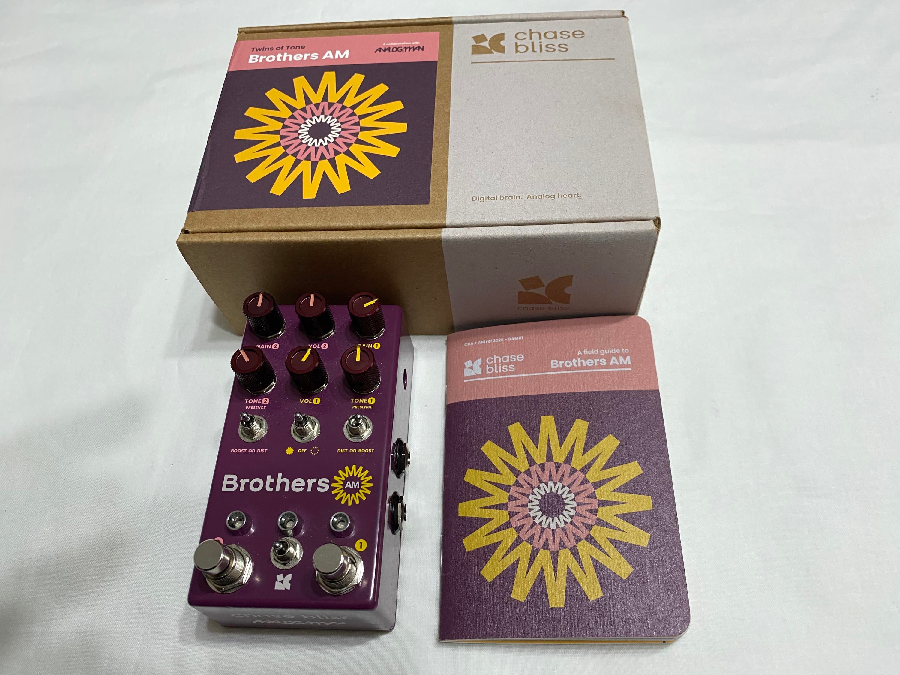Used Chase Bliss Audio Brothers AM - Sweetwater's Gear Exchange