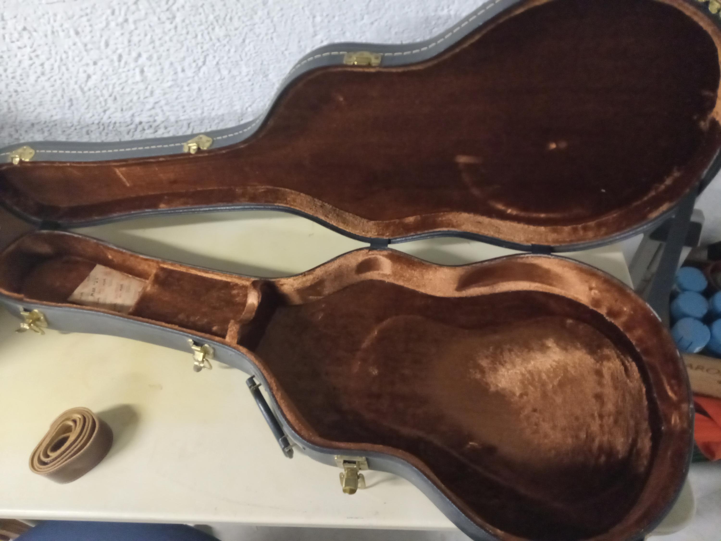 used】Wood Custom Guitars / Vibe-5 19pitch SCW×WCG Model
