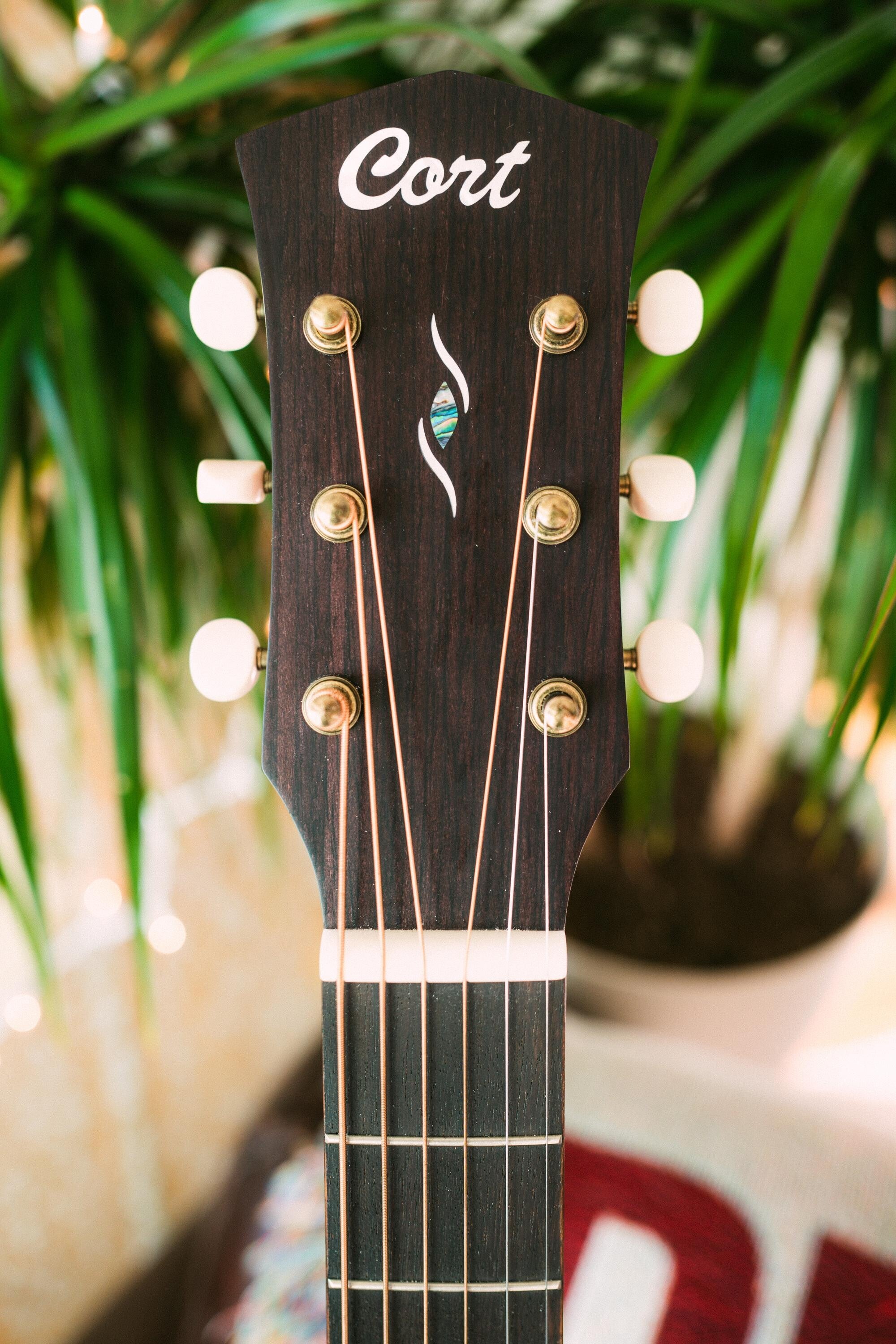 cort parlour guitar