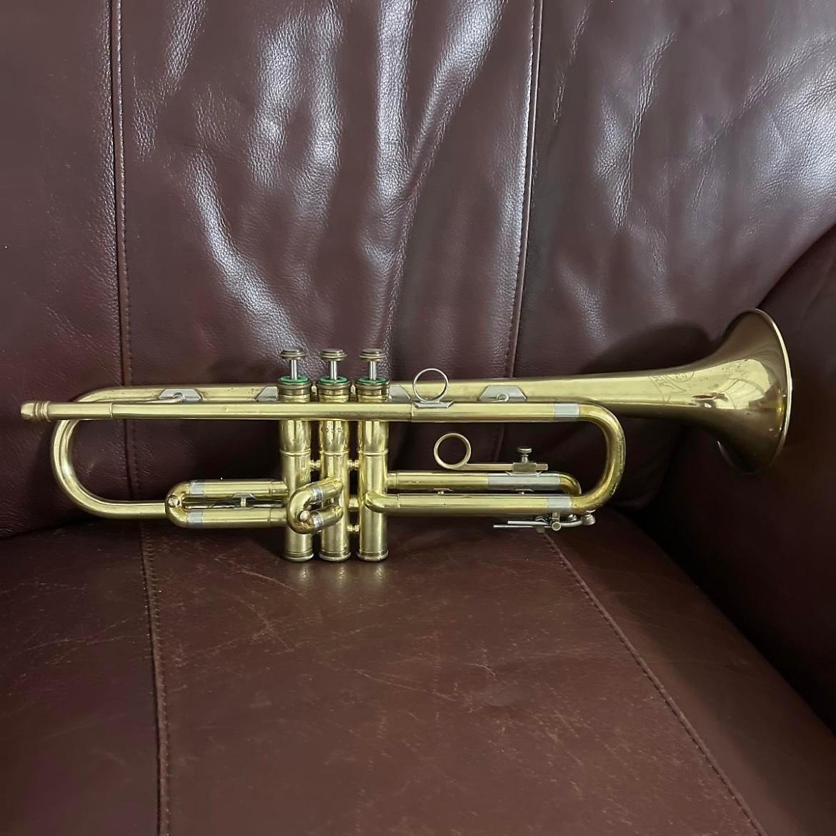 Ambassador trumpet new arrivals