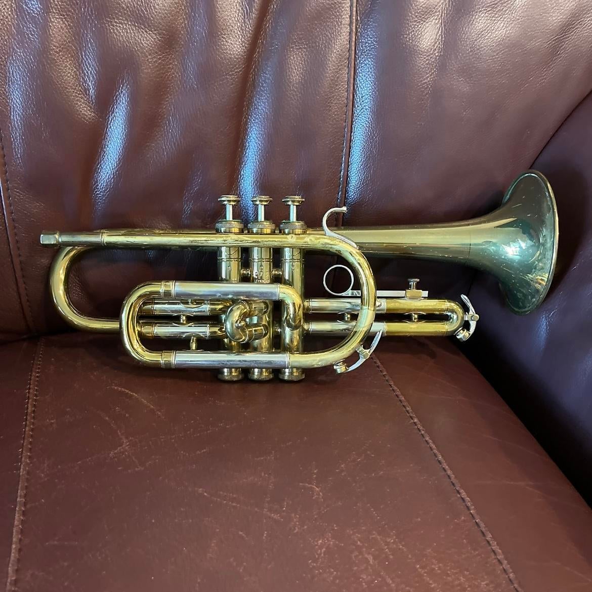 Reynolds deals contempora cornet