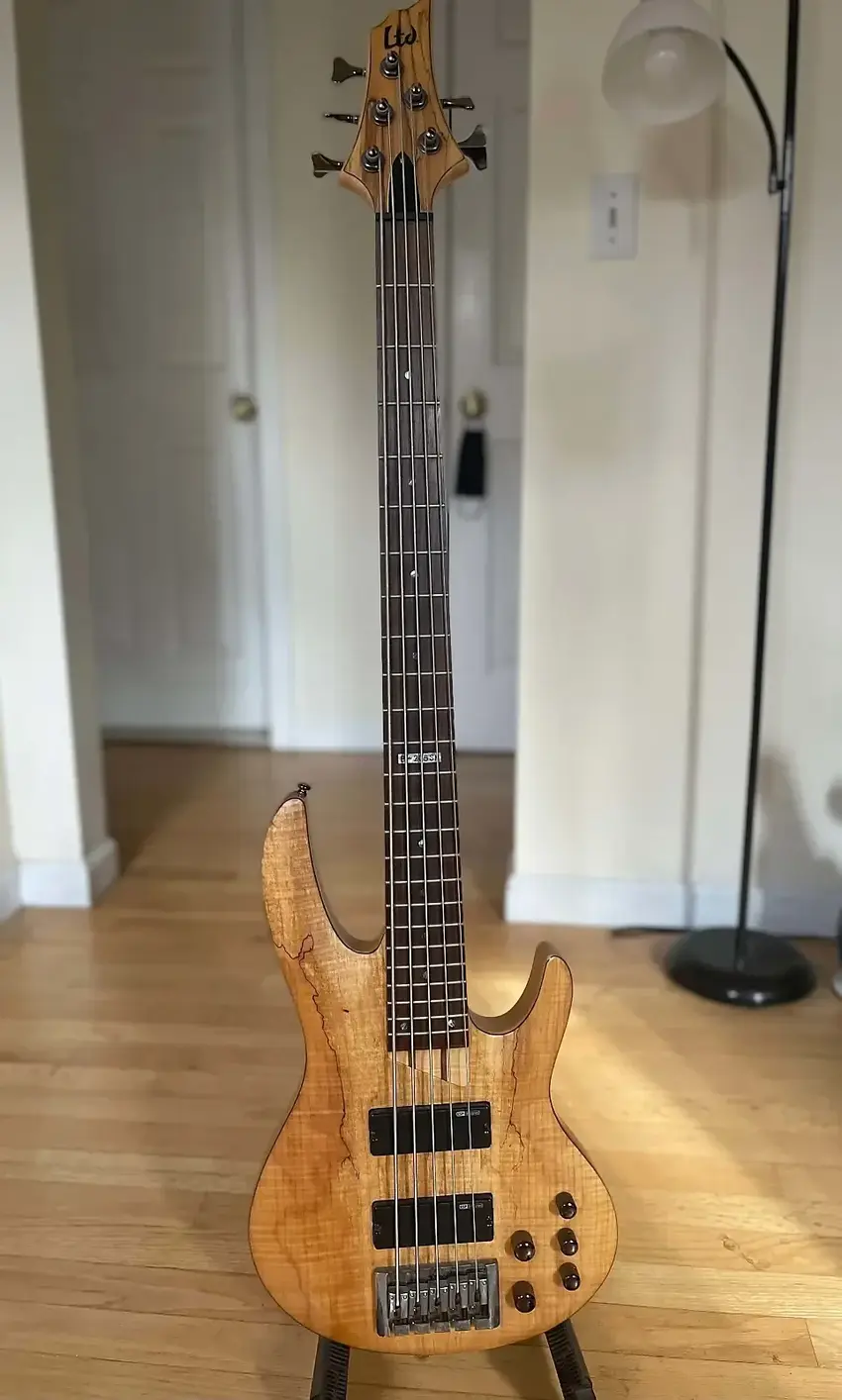 Used ESP LTD B205 5string Bass Guitar Gear Exchange