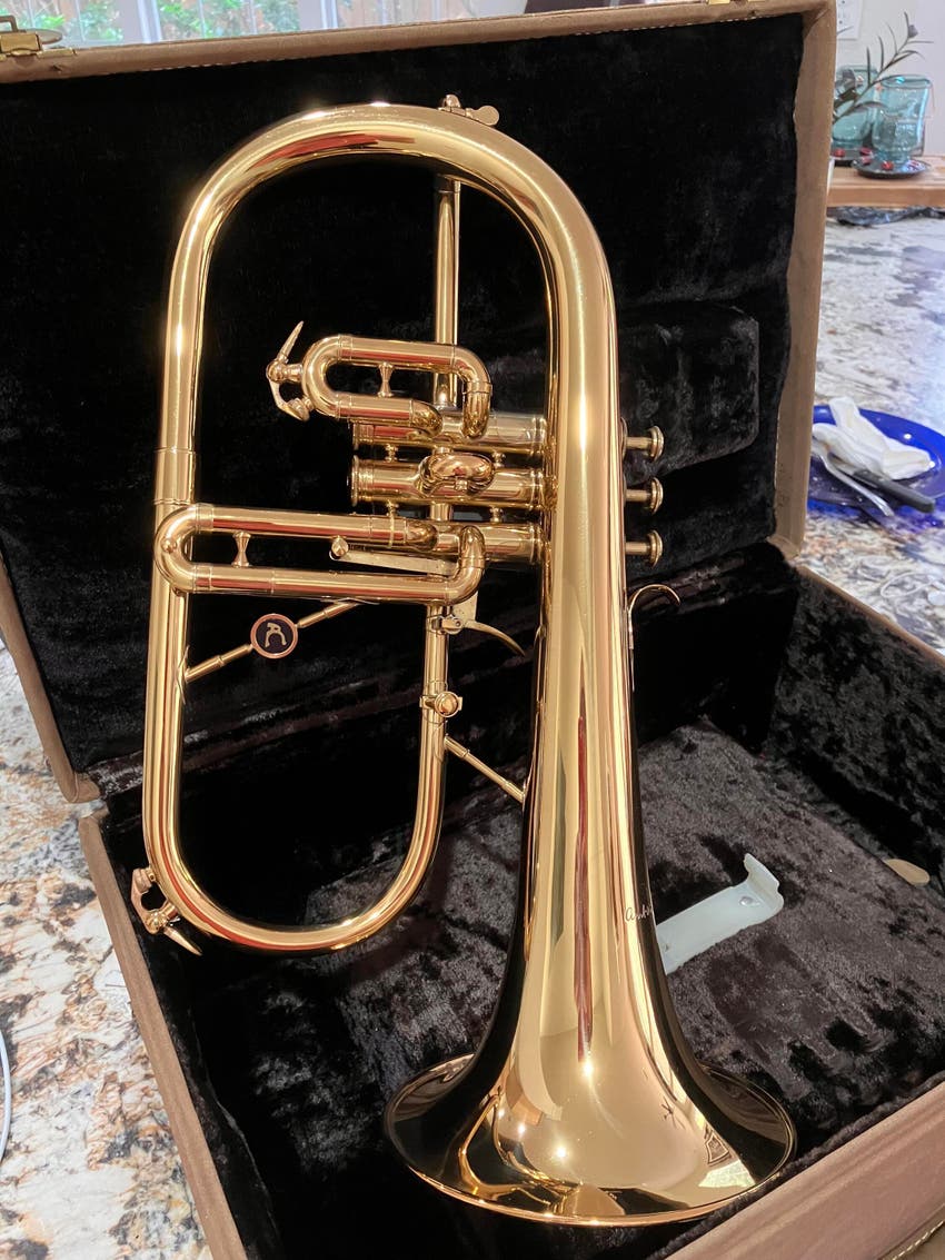 Used Antoine Courtois Professional 154 Gear Exchange