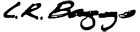 LR Baggs logo